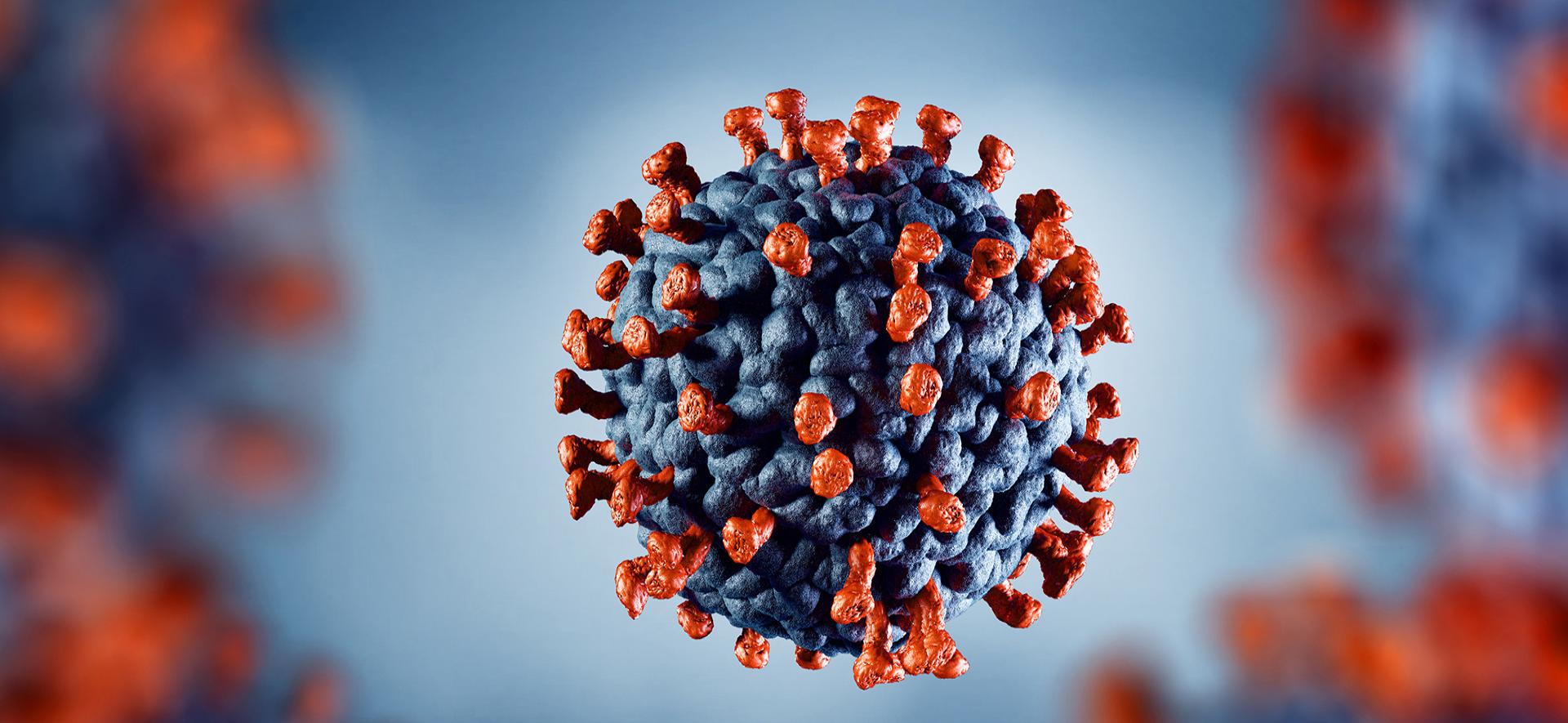 grafika przedstawiająca model koronawirusa