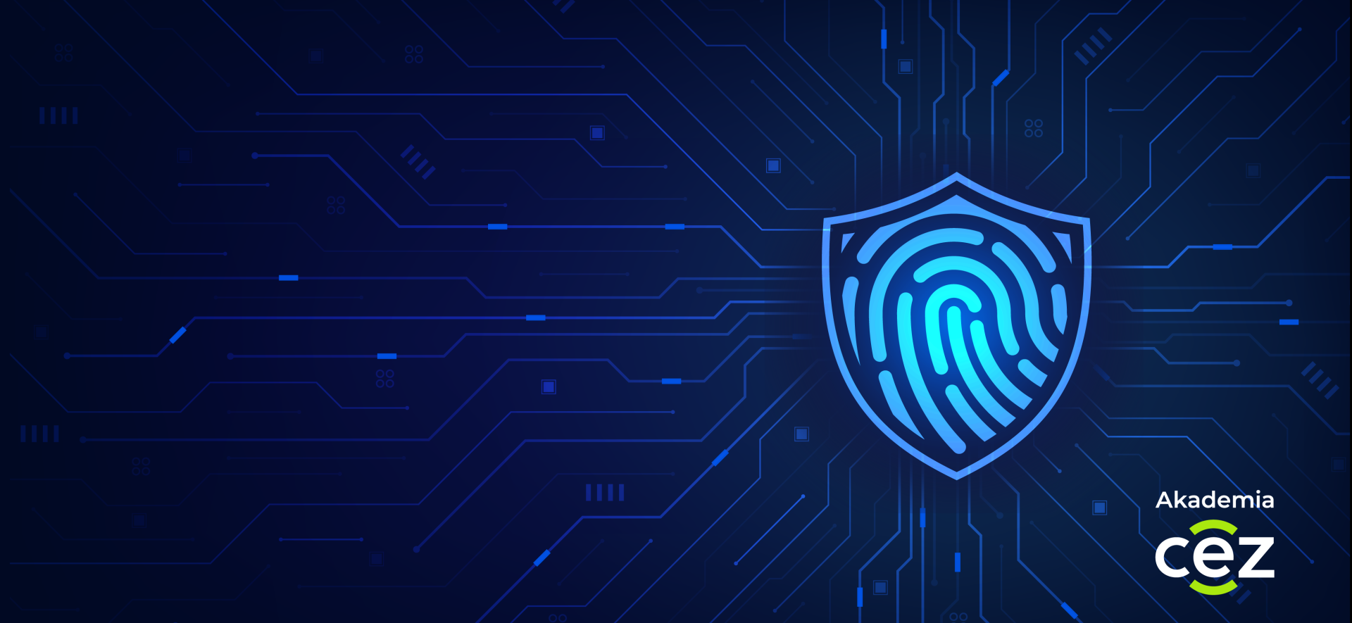 graficzna reprezentacja cyberbezpieczeństwa, cyfrowe połączenia i kłódki symbolizujące bezpieczeństwo