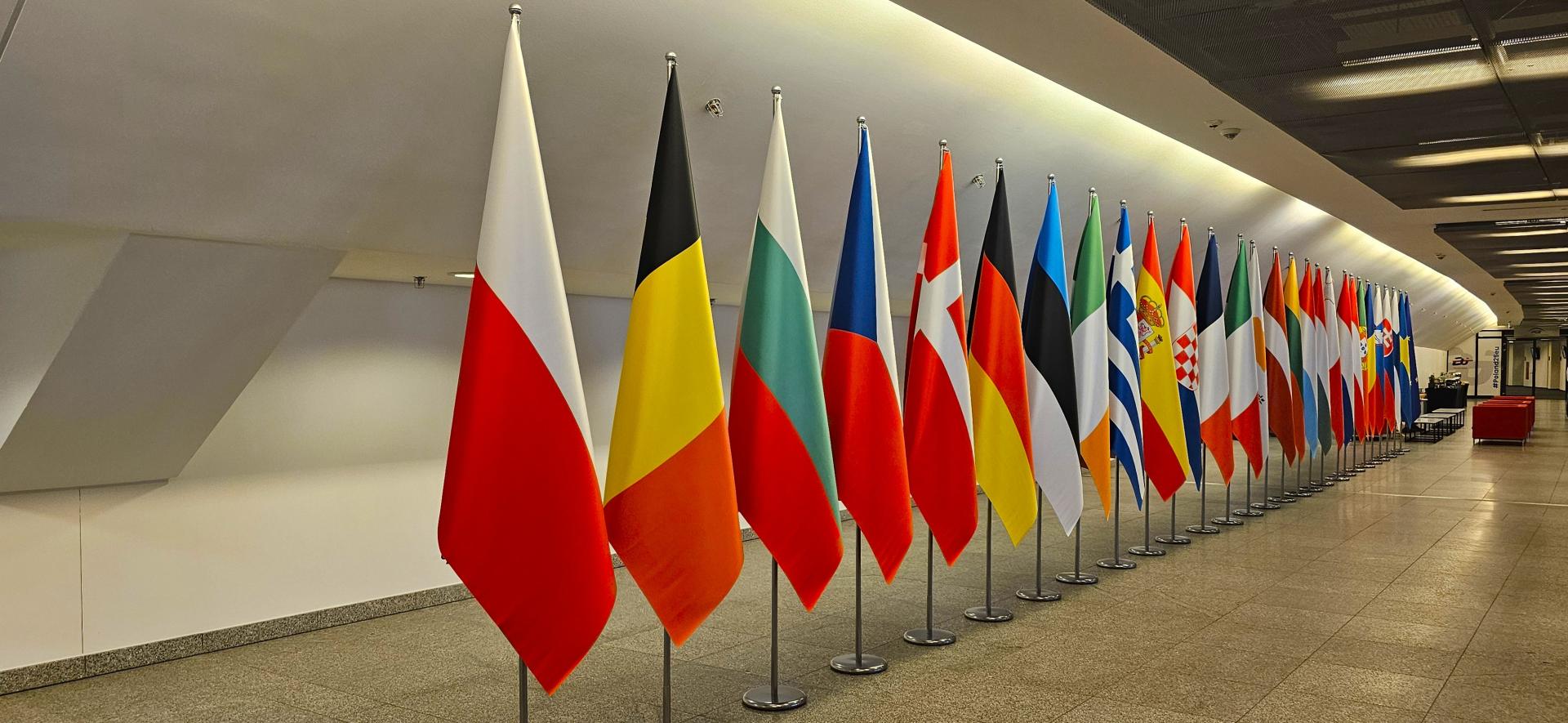 flagi państw UE, których przedstawiciele wzięli udział w spotkaniu eHMSEG