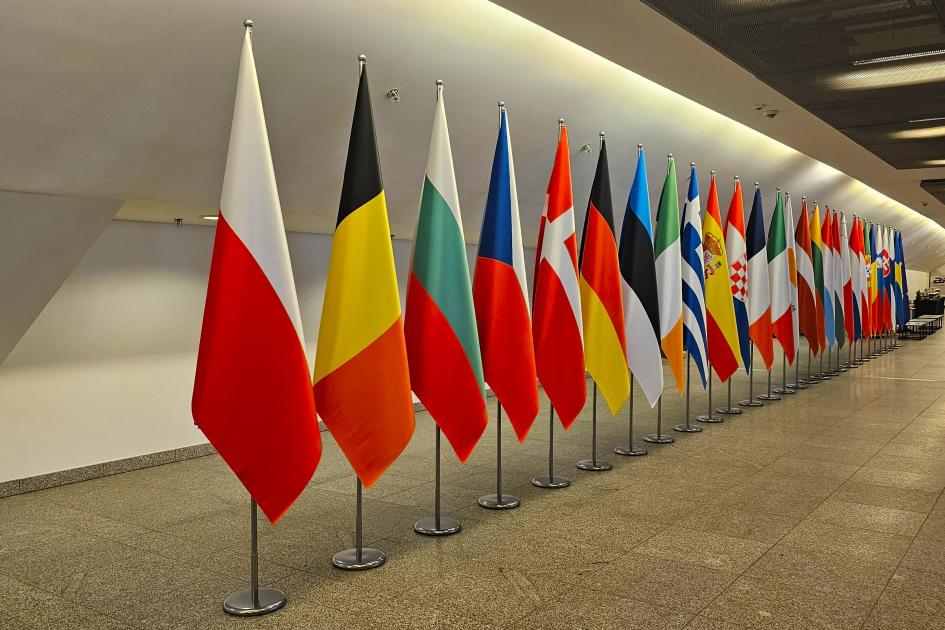 flagi państw UE, których przedstawiciele wzięli udział w spotkaniu eHMSEG