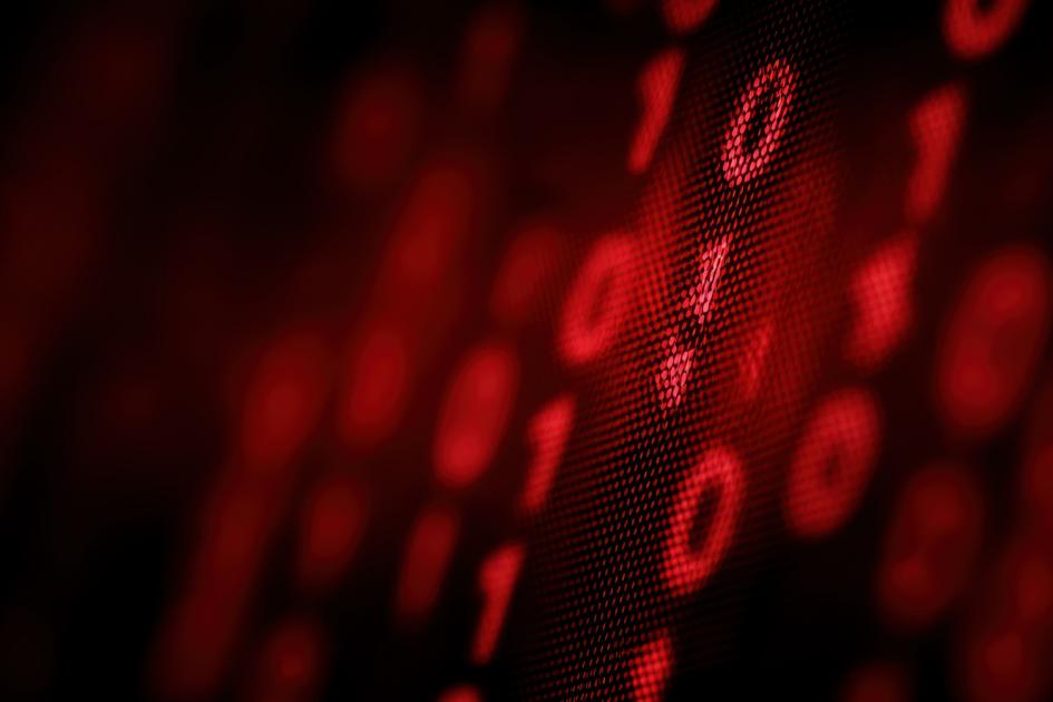 czerwone linie zer i jedynek